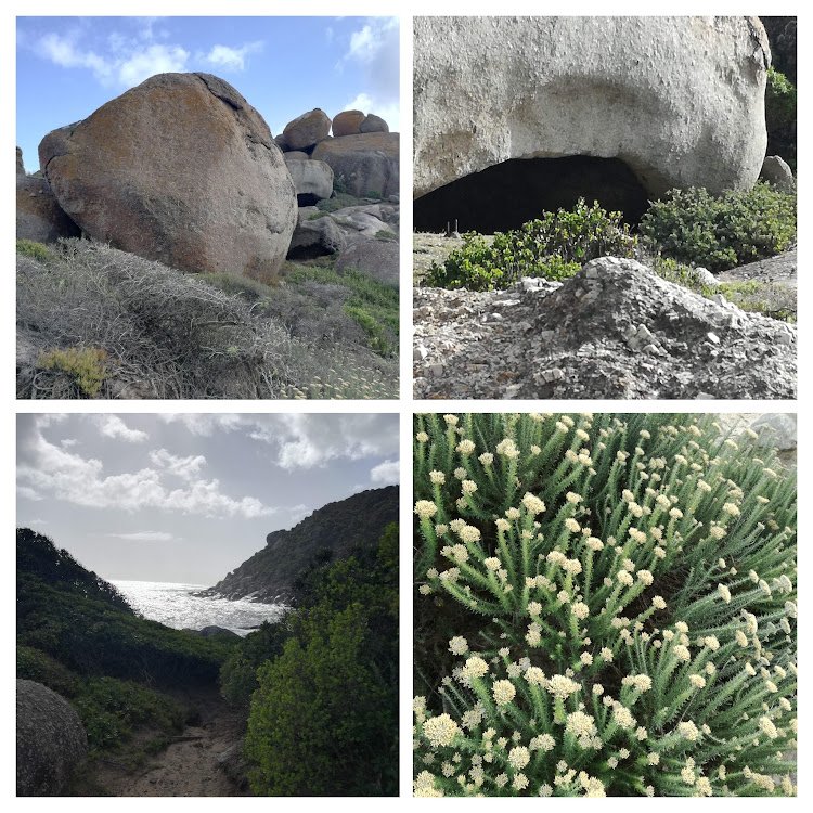 cave and flowers.jpg