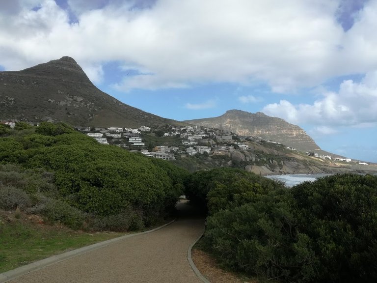 mansions over looking sea.jpg