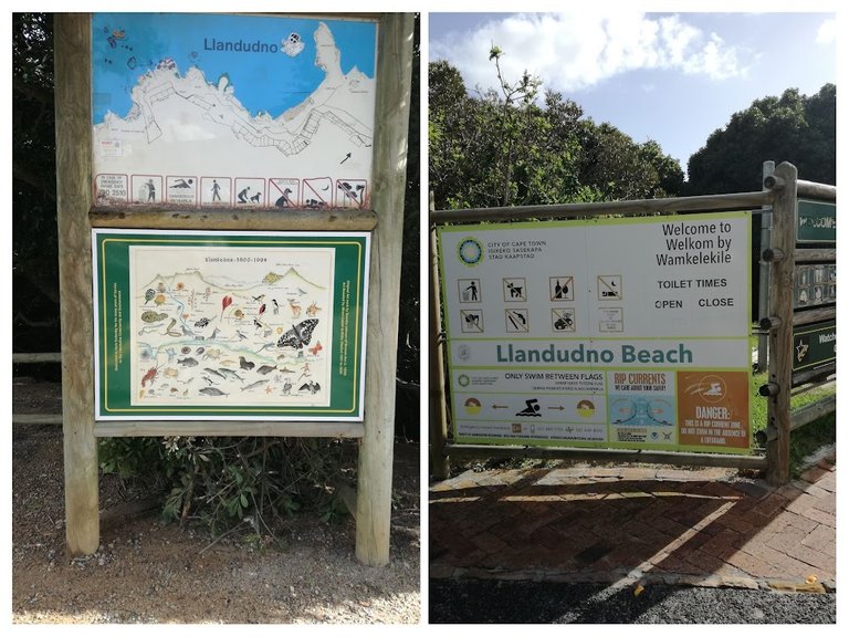 signs on beach.jpg