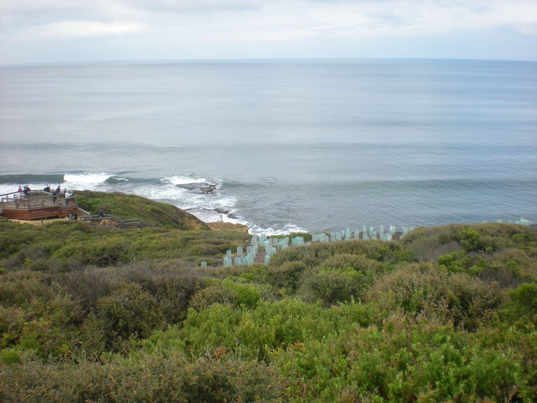 bells beach.png