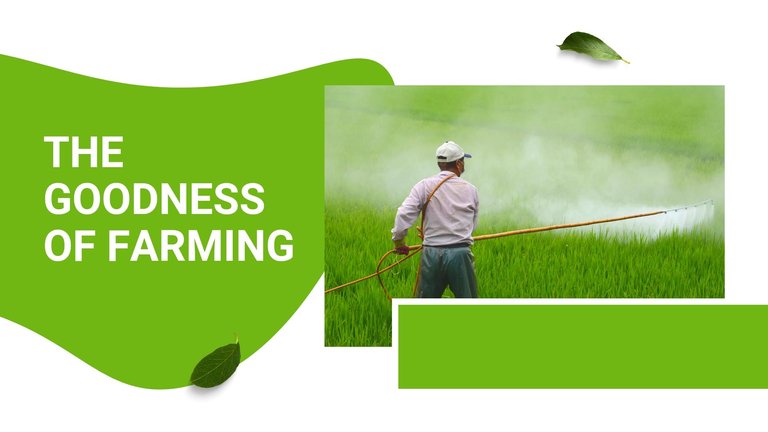 Green Elegant Farmer Story Presentation_20240508_232155_0000.jpg