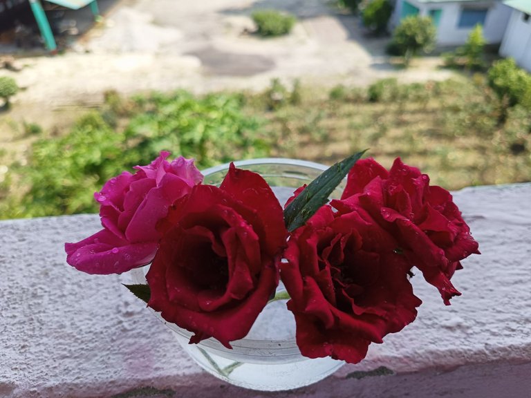 IMG20230815140947.jpg