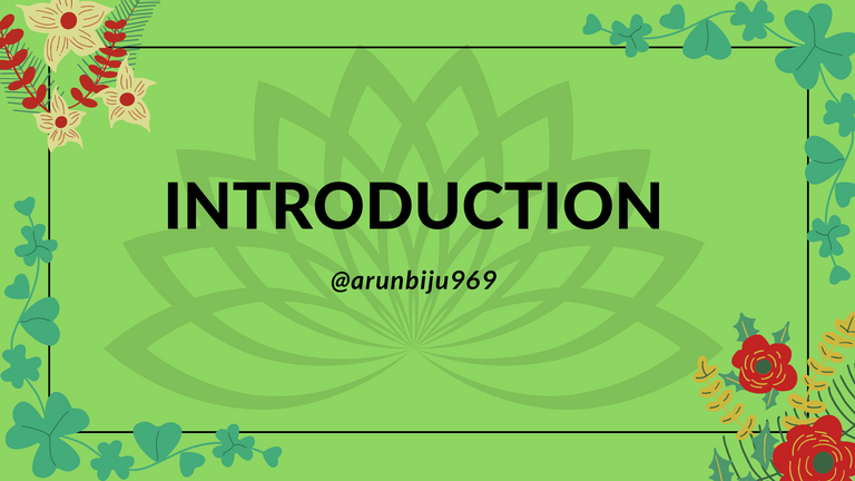 INTRODUCTION (1).png