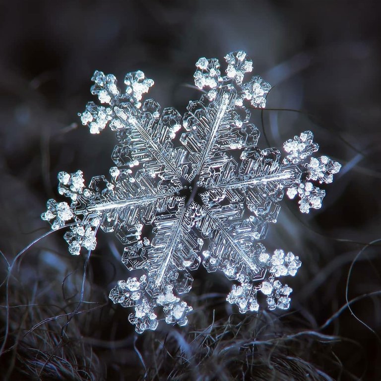 snowflakes-alexey-kljatov-2.jpg