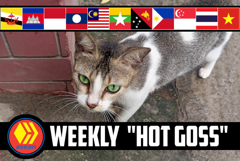 🤫 The Weekly ASEAN Hive "Hot Goss" #170 🥪 A Successful Bakery, Emerald Eyed Cat, & Grand Master Oogway! 🐢 
