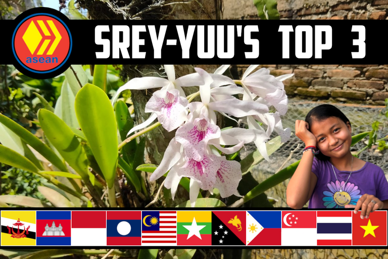 Srey-Yuu's "ASEAN Hive Top 3" 🌼 Beautiful Orchids, Bye To Japan, & A Grocery Day! 🥟