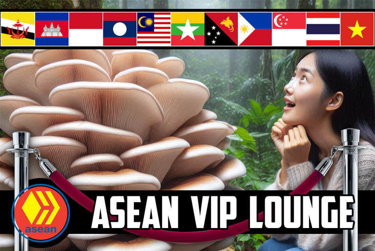 🚪 The ASEAN Hive VIP Lounge #93 🍄‍🟫 Giant Oyster Mushrooms Invade!!' 🍄