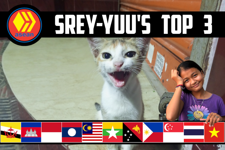 🎊 Srey-Yuu's "ASEAN Hive Top 3" 🛒 Grocery Shopping, A Cute Kitty, & Purple Sweet Potatoes! 🍠 