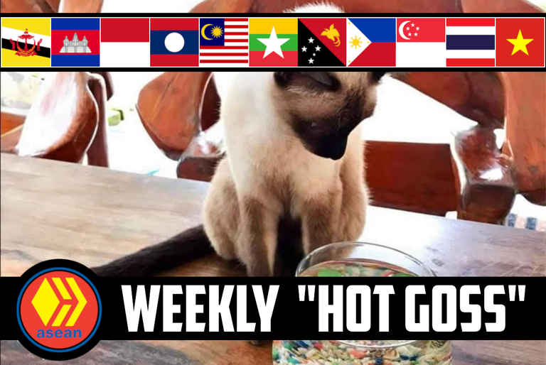 🤫 The Weekly ASEAN Hive "Hot Goss" #171 🛟 Cat Plants, Dave Signals & Cave Rescuers ⛑️  