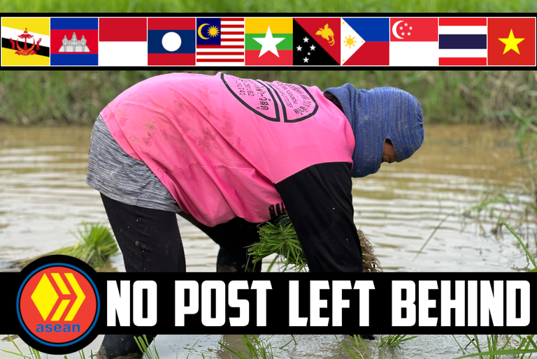🕵️‍♂️ No Post Left Behind 🍲 Night Market, Visiting A Rice Field, Fish Soup, & Tasty Biko! 🌾