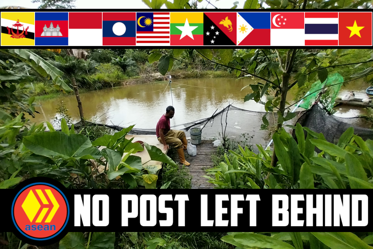 🕵️‍♂️ No Post Left Behind 🤔 Tough Choices, Pinay Garens, Taro Patches & Thai Flooding 🌊