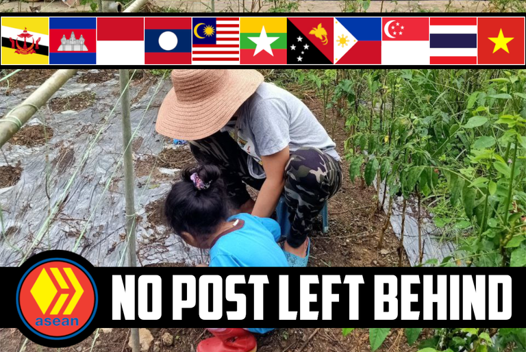 🕵️‍♂️ No Post Left Behind 🧭 Navigating Life, Tragedy, Compass Tattoos & Bean Planting 🫘