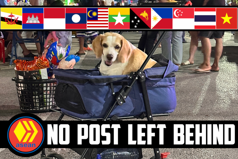 🕵️‍♂️ No Post Left Behind 🏫 School Days, Kitties, Alone Time & Boat Festivals 🚣