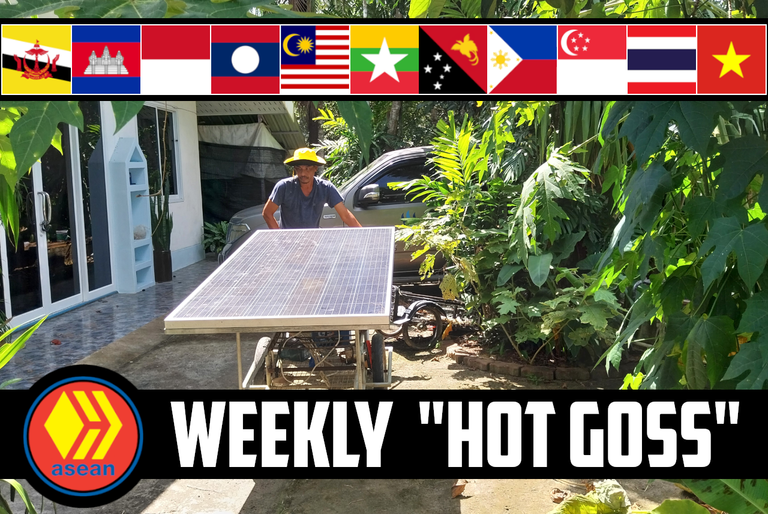 🤫 The Weekly ASEAN Hive "Hot Goss" #150 🎄 Dwarf Trees, Turbo Karts & Sorcery Packets 🧙‍♀️