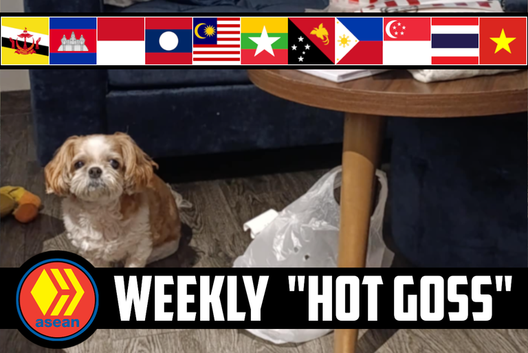 🤫 The Weekly ASEAN Hive "Hot Goss" #151 🐈 Bribing Grannies, Cat-stronauts & Dog Jobs 🦮