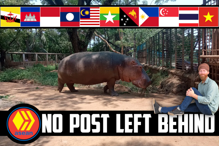 🕵️‍♂️ No Post Left Behind 🍡 Meatballs, Happy Kids, Hippos & Late Night Hangouts 🦛