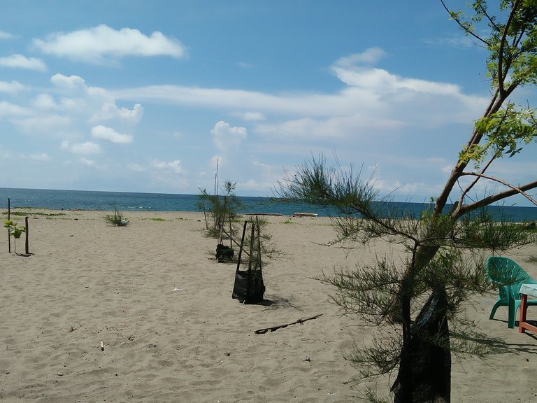 IMG20250427142315-1.jpg