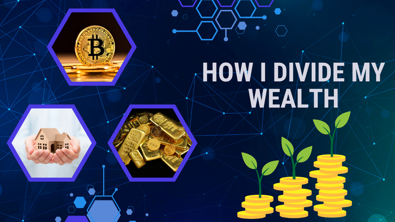 How I Divide My Wealth.png