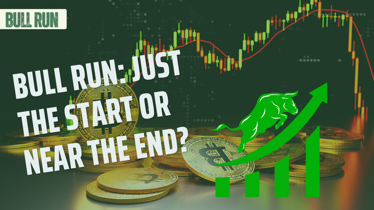 Bull run.png