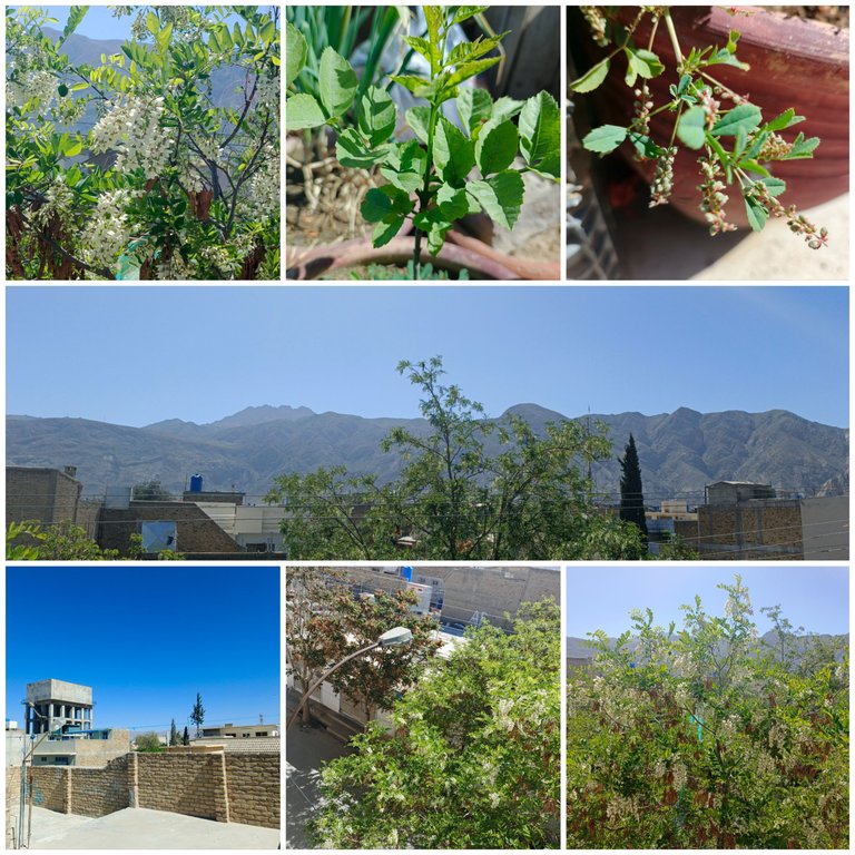 Picsart_25-04-06_10-18-06-453.jpg