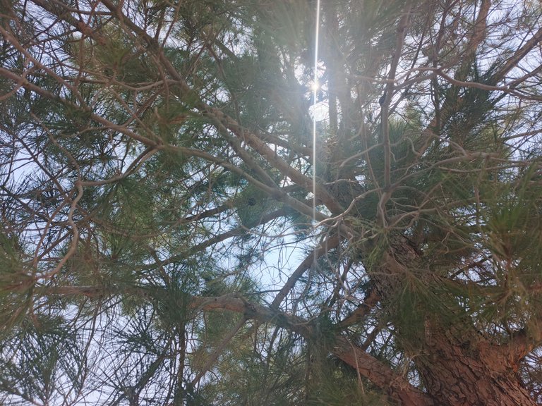 IMG_20250721_133918_455.jpg