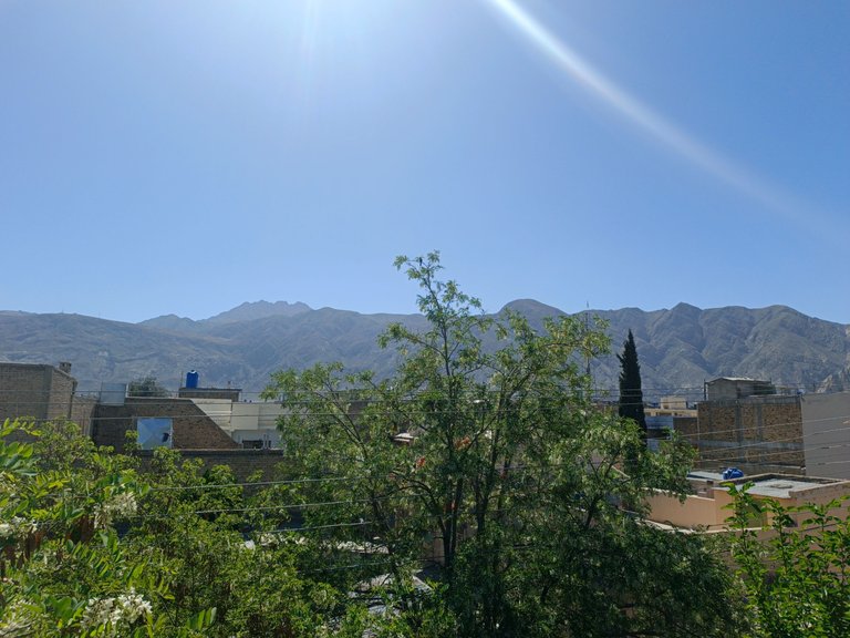 IMG_20250406_101256_665.jpg