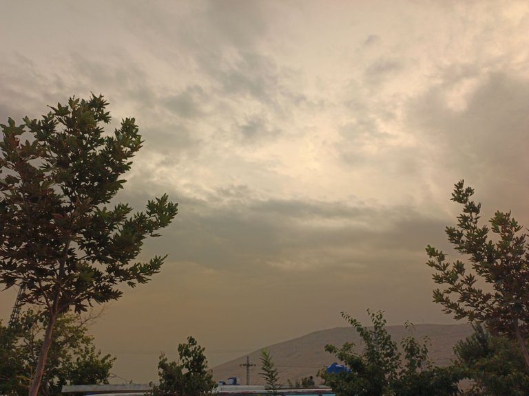 IMG_20250720_193134_704.jpg