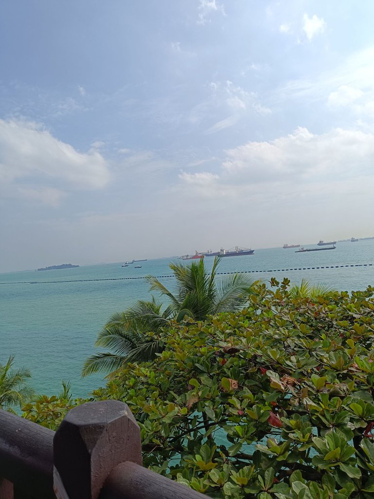 IMG_20250202_155206.jpg