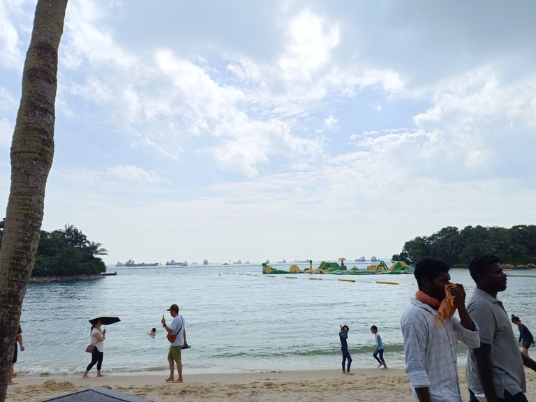 IMG_20250202_153434.jpg