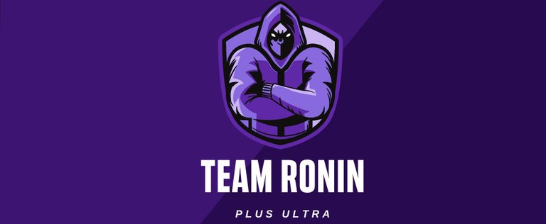 Team Ronin Banner0000.jpg