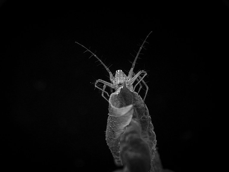 1000579166.jpg