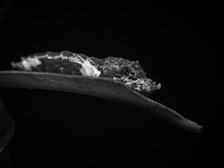 1000578440.jpg