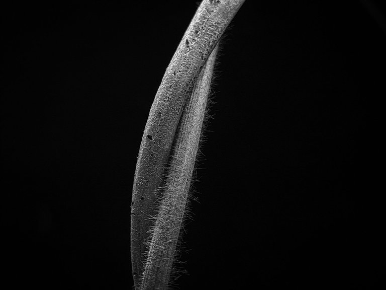 1000566766.jpg