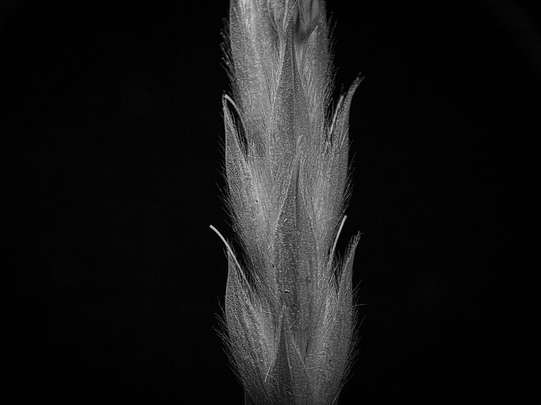 1000606822.jpg