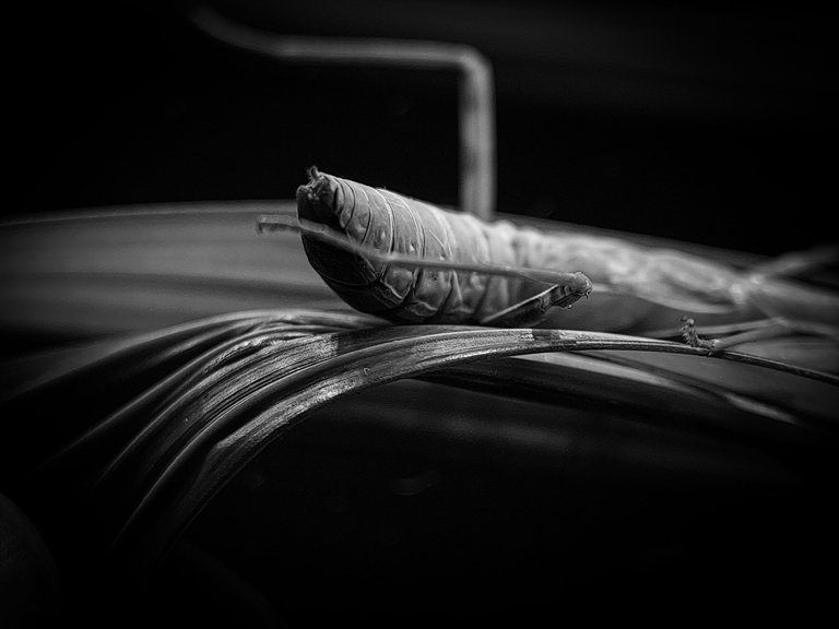 1000612632.jpg