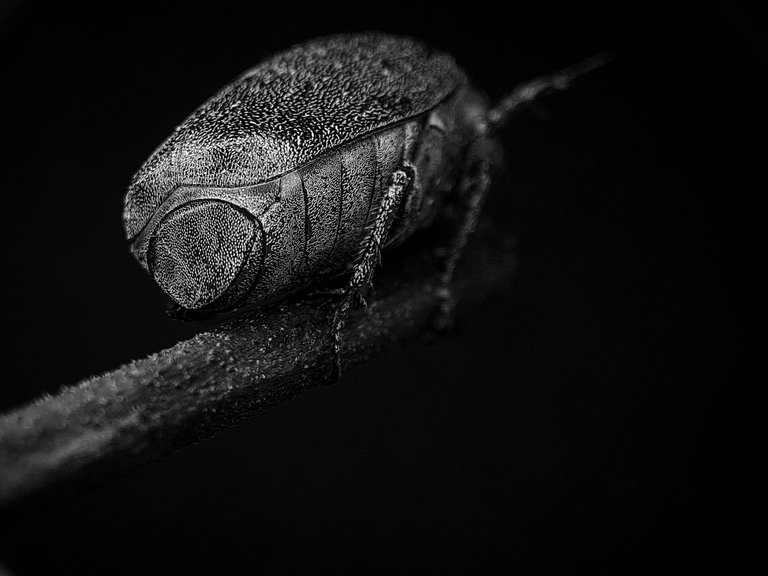 1000617637.jpg
