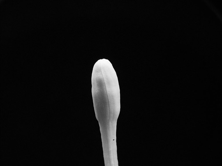 1000614840.jpg