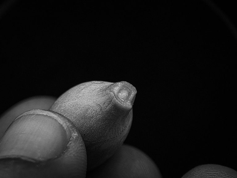1000615766.jpg