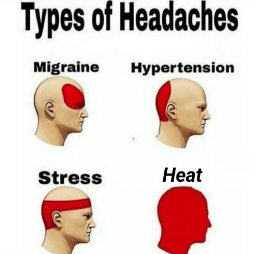 1000316224.jpg