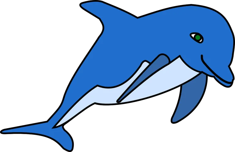 dolphin-159157_1280.webp