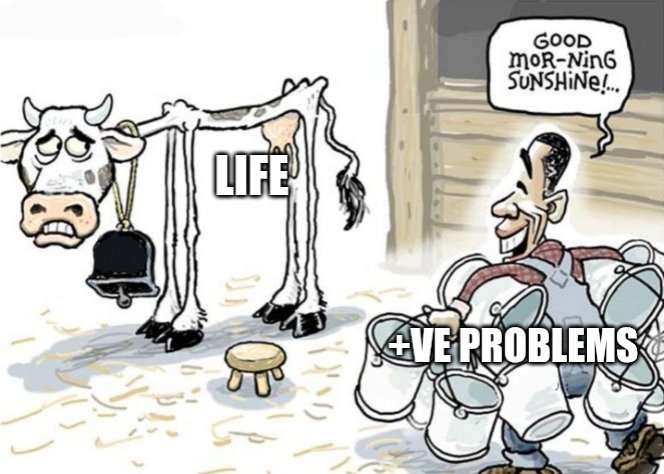 1000304259.jpg