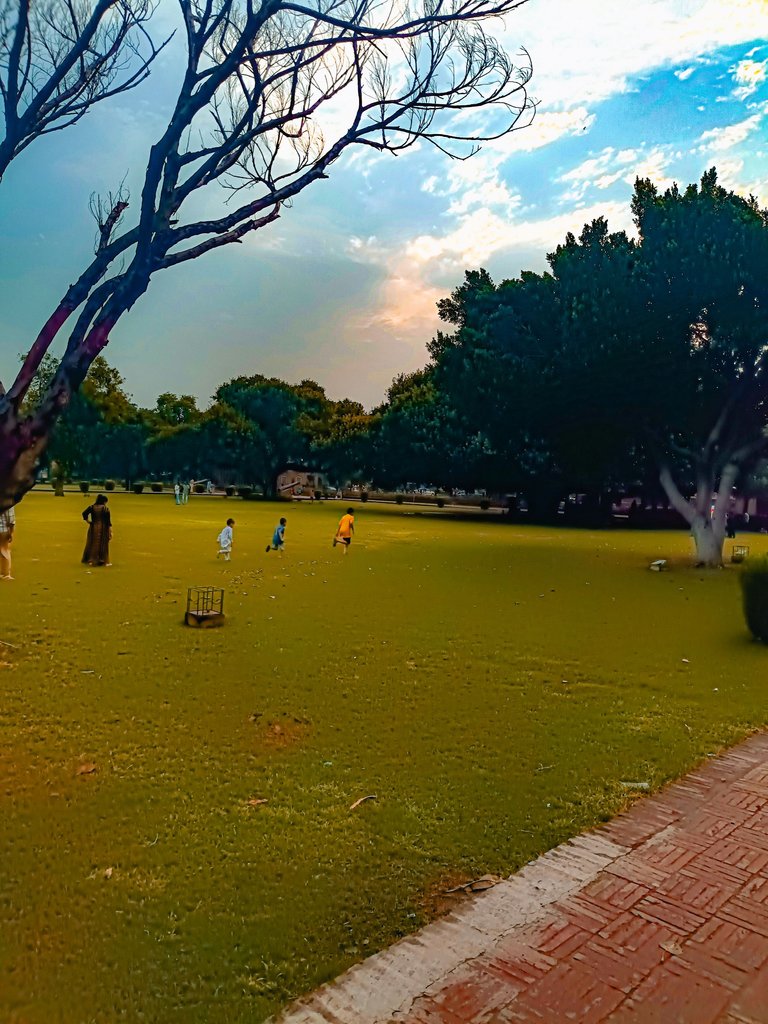 1000375552.jpg