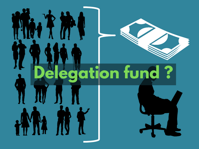 Delegation fund.png