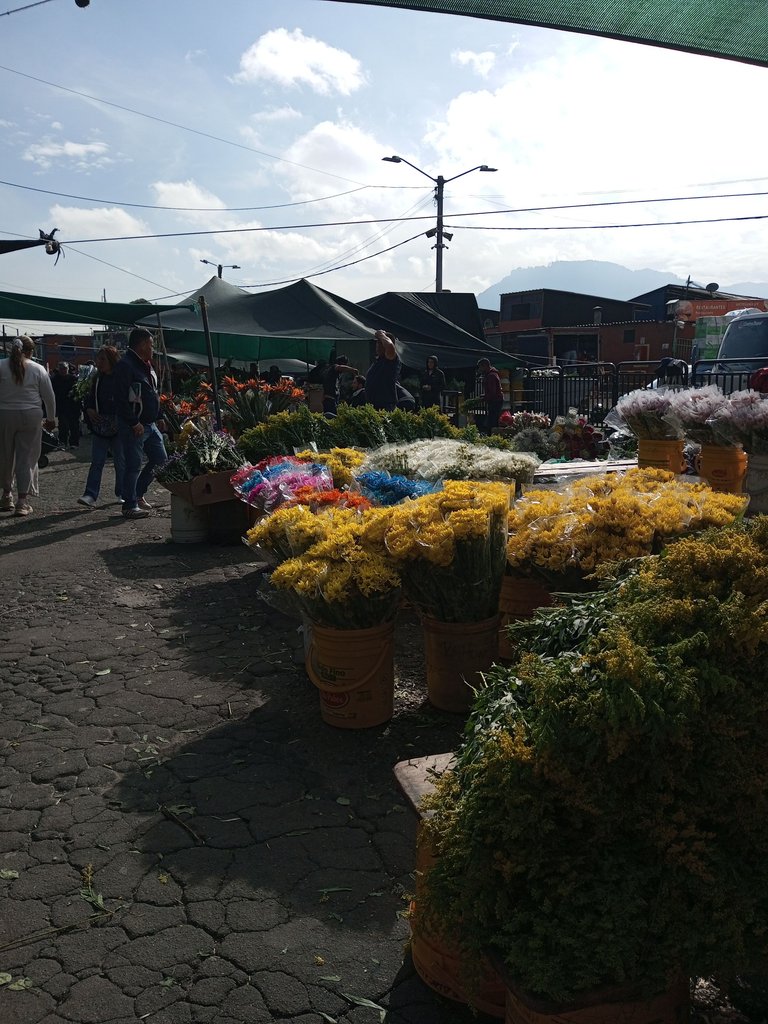 IMG_20250429_081800_746.jpg