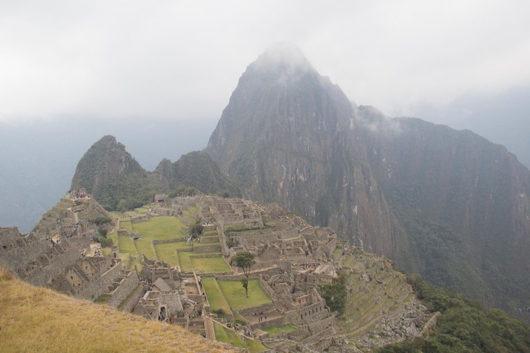 _MG_1005.jpg