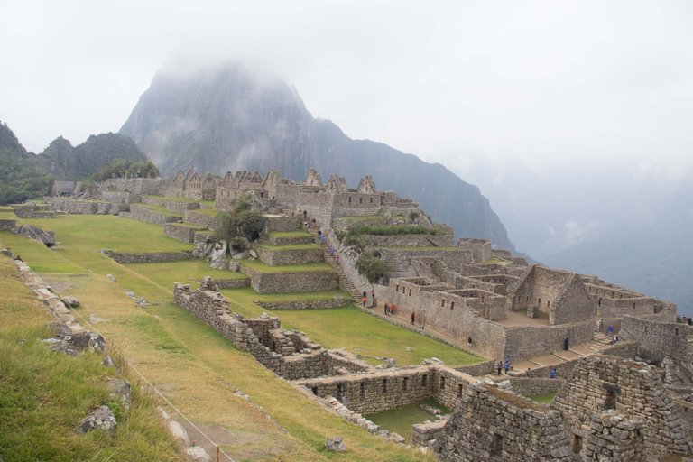 _MG_0947.jpg