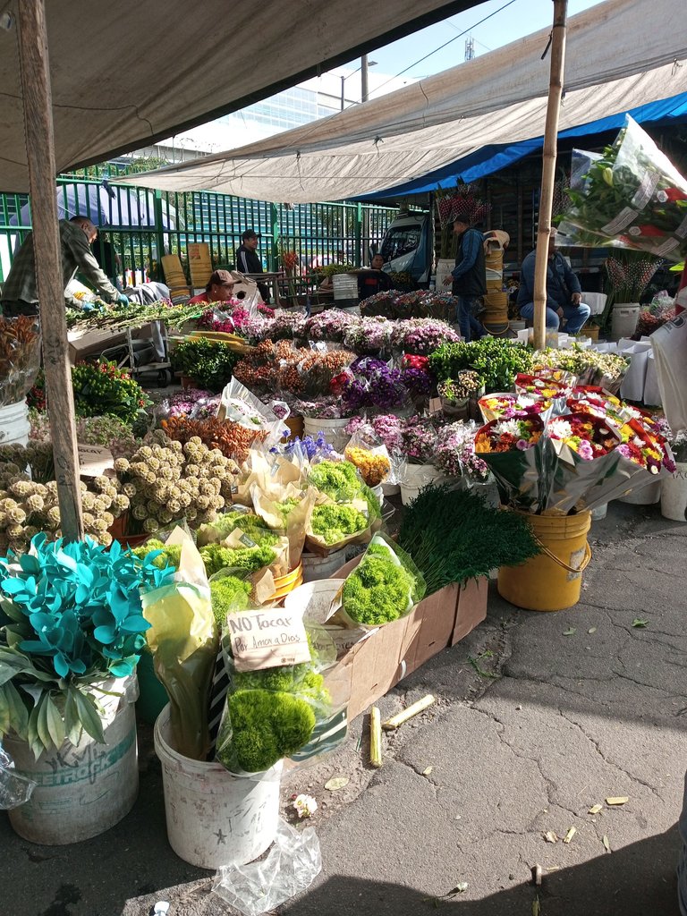 IMG_20250429_081632_771.jpg