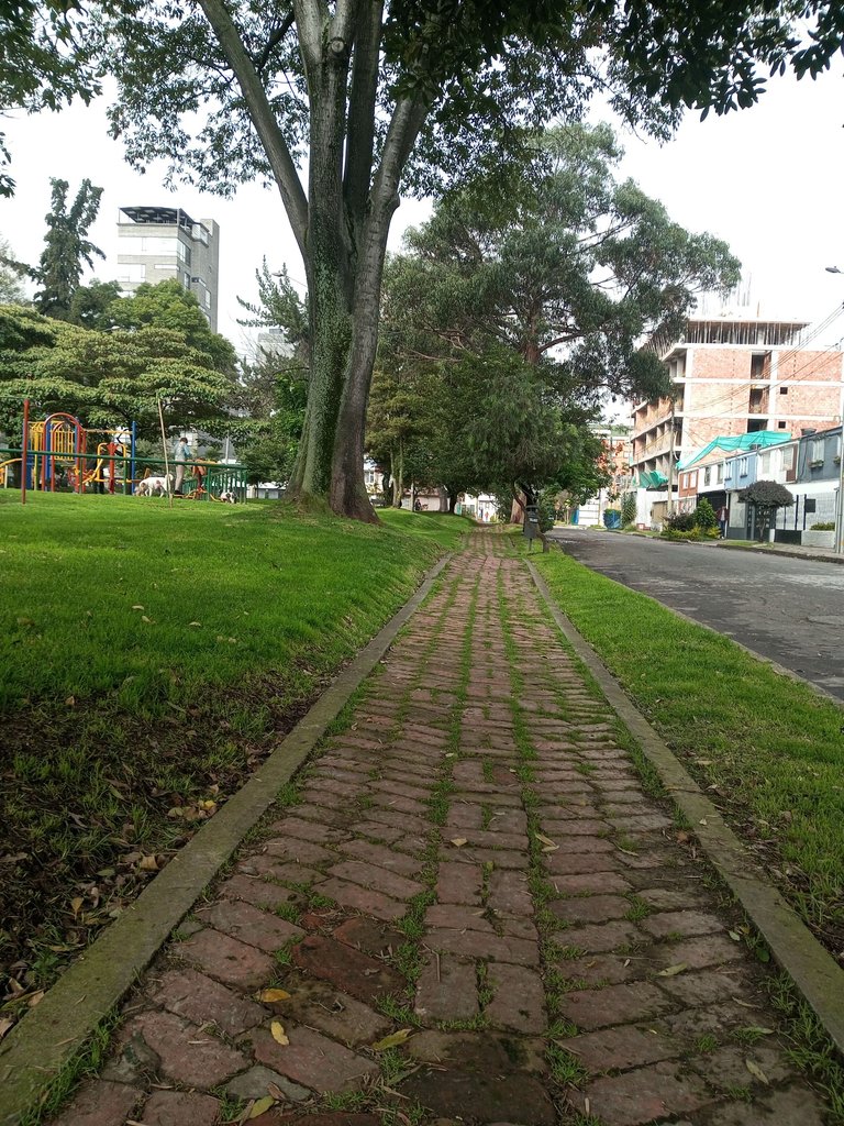 IMG_20250429_073909_625.jpg