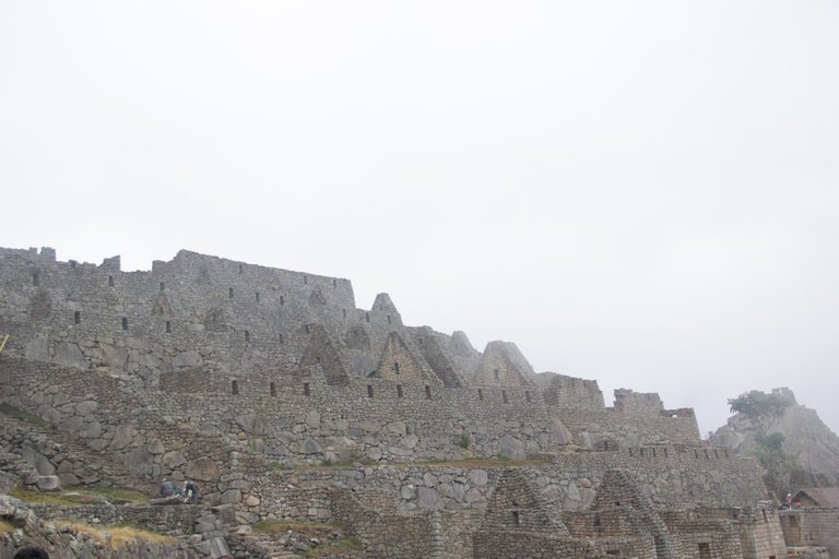 _MG_0924.jpg