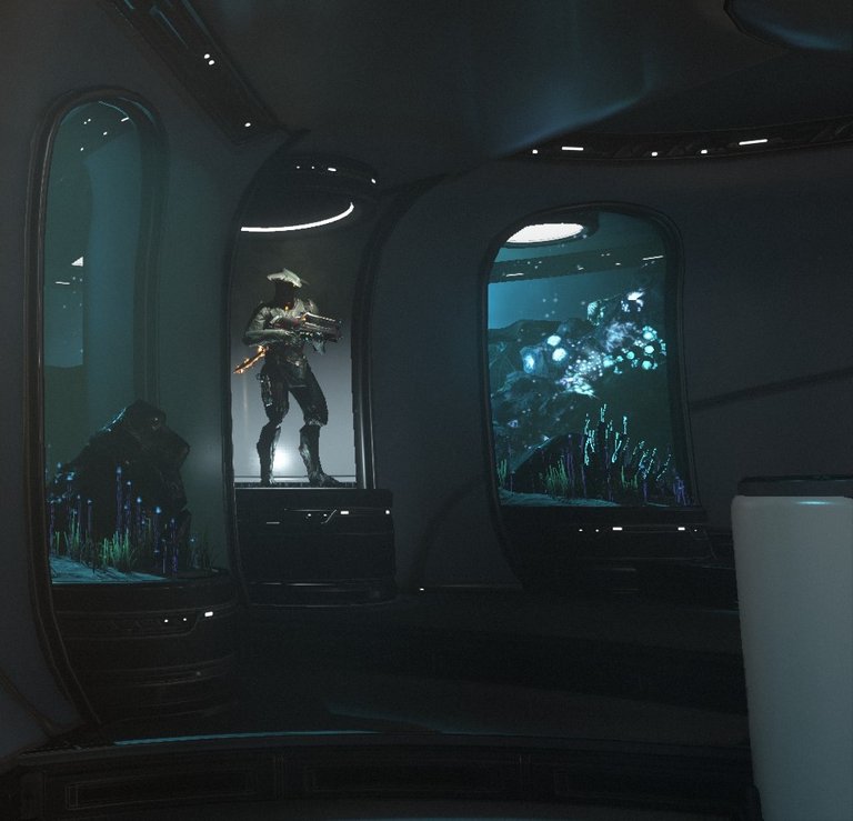 4 Warframe Side Fish tank.jpg